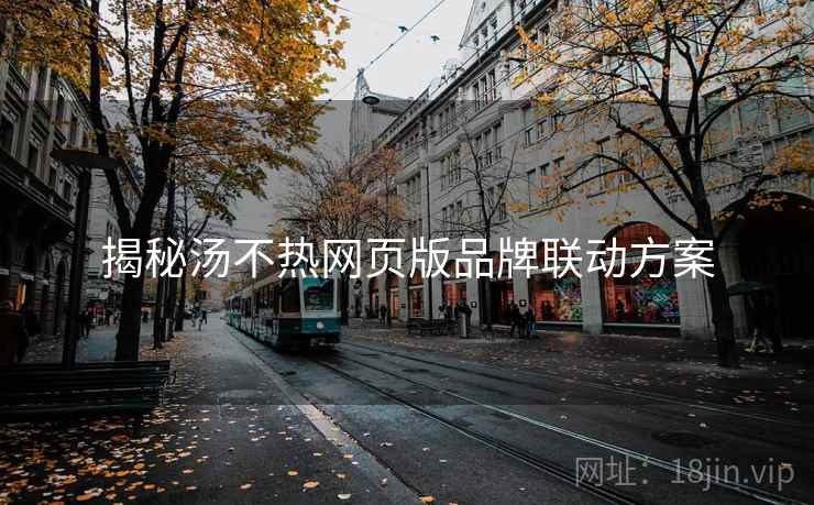 揭秘汤不热网页版品牌联动方案