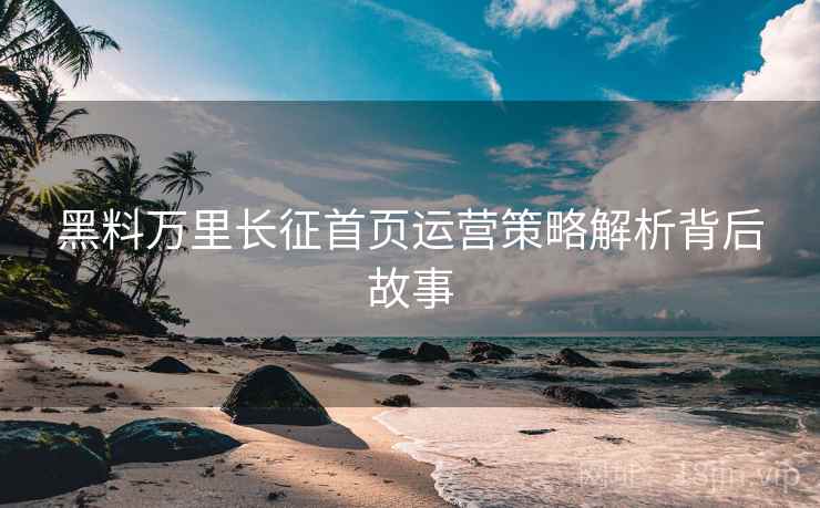 黑料万里长征首页运营策略解析背后故事