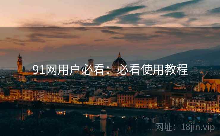 91网用户必看：必看使用教程