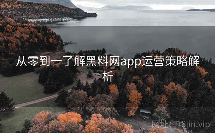 从零到一了解黑料网app运营策略解析