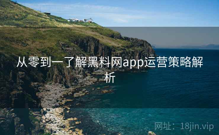 从零到一了解黑料网app运营策略解析