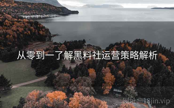 从零到一了解黑料社运营策略解析