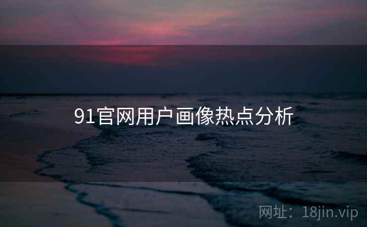 91官网用户画像热点分析